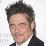 Benicio Del Toro