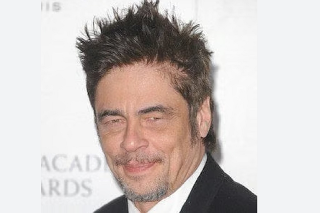 Benicio Del Toro