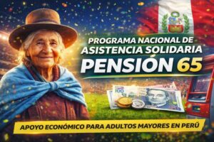 Programa Nacional de Asistencia Solidaria Pensión 65